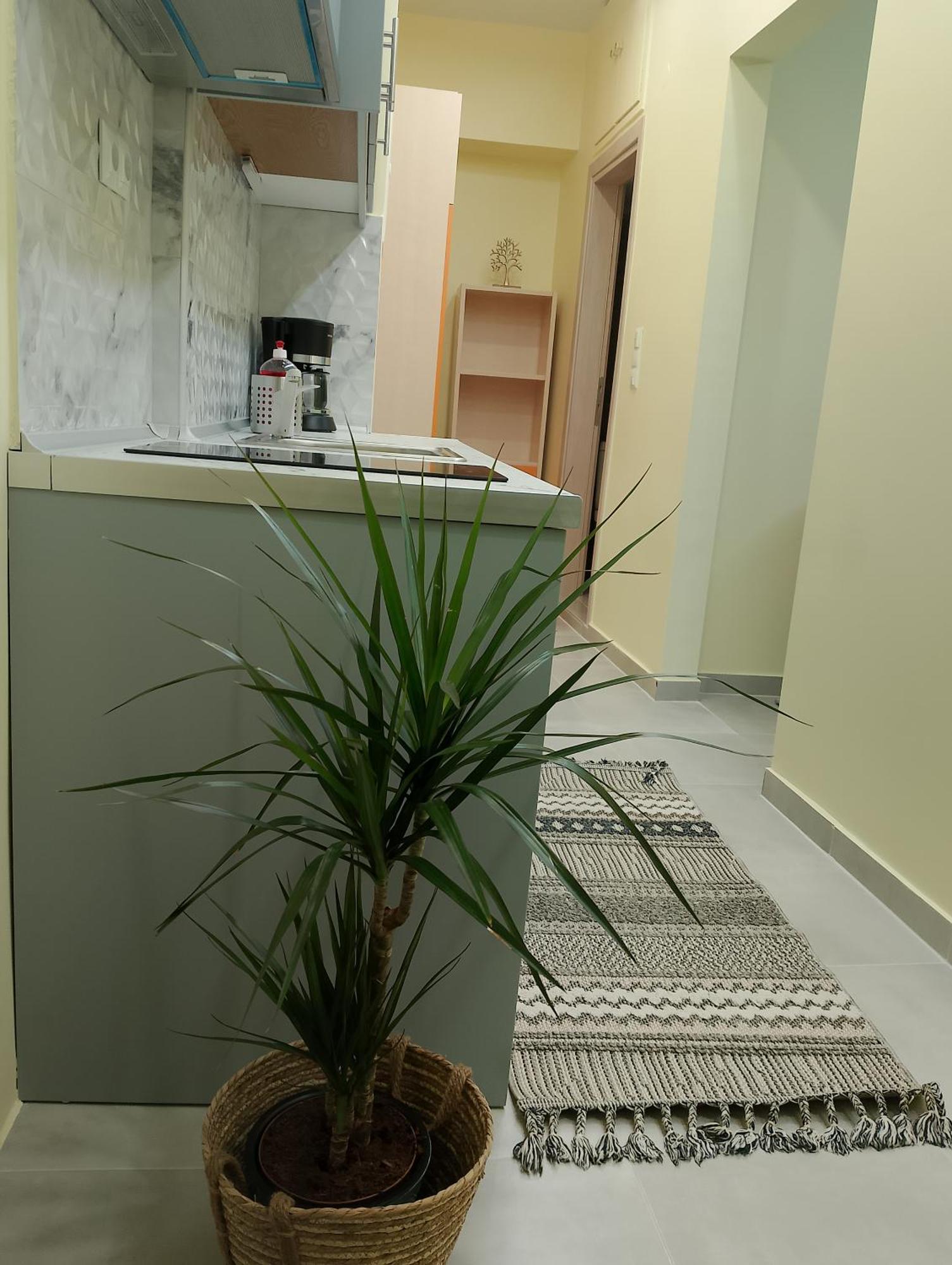 Apartment Black Eagle's Nest *