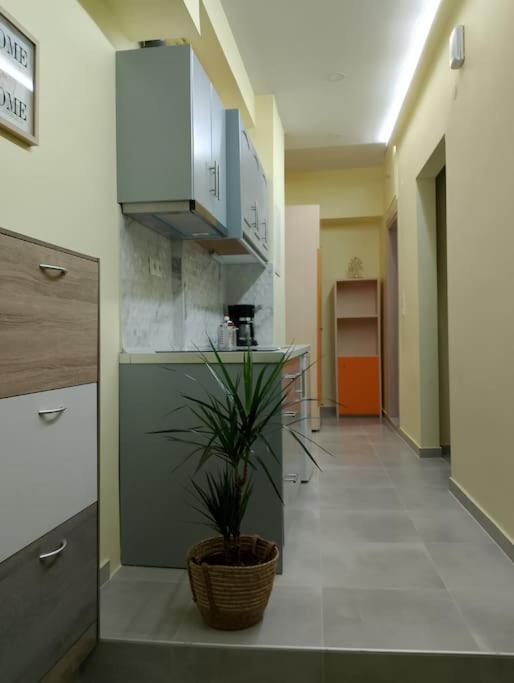 Black Eagle's Nest Apartment